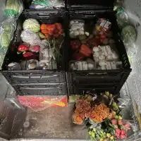 Vollgefüllter Lademeister