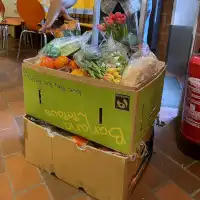 Zwei volle Kartons, randvoll mit Lebensmittel. Sogar mit Blumen.