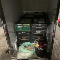 Der Tricargo Lademeister. Befüllung am Sa 14.02.26 - Vierte Ebene