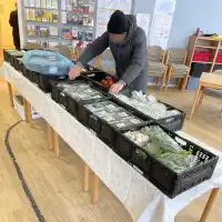 Wer schon da ist, darf gerne helfen: Sortieren, schauen, fühlen, prüfen.